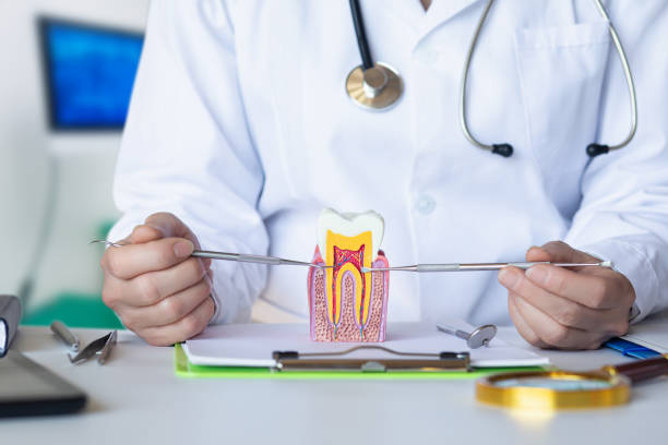 Best Same-Day Emergency Dental Services in Morrisville, VT